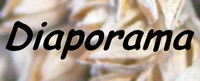 rubrique diaporama